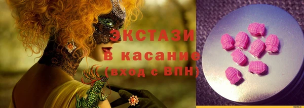 индика Иннополис