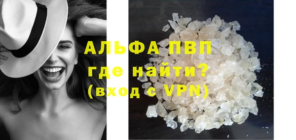 индика Иннополис