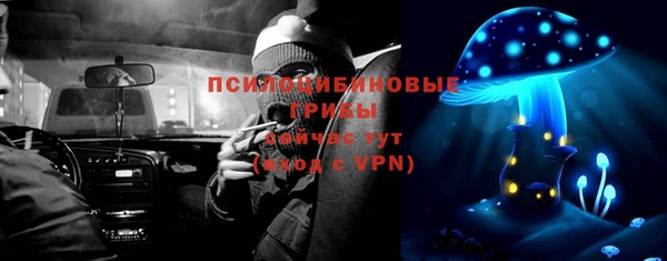 СК Инта