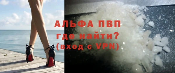 СК Инта