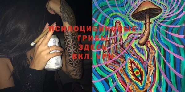 индика Иннополис