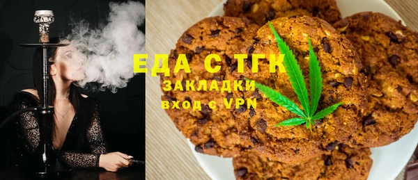 индика Иннополис
