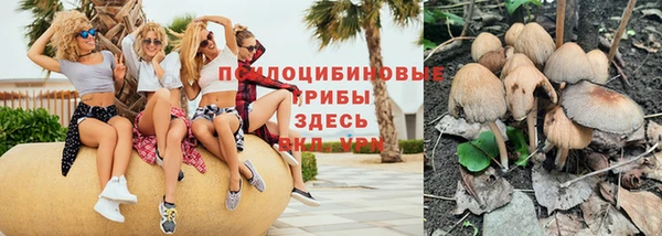 jwh Инсар