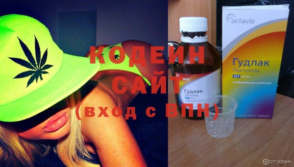 СК Инта