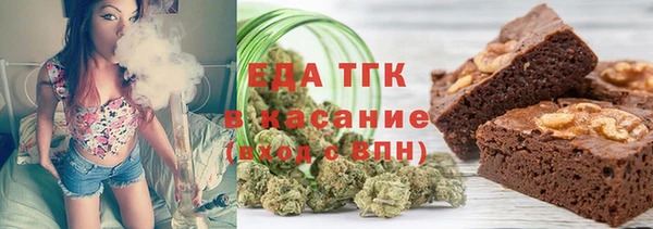 индика Иннополис