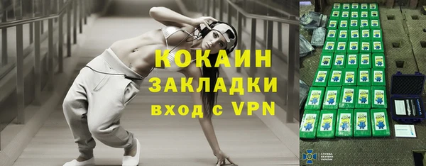 индика Иннополис
