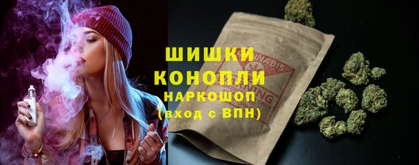 индика Иннополис