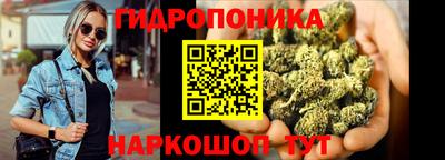 МДПВ Пенза