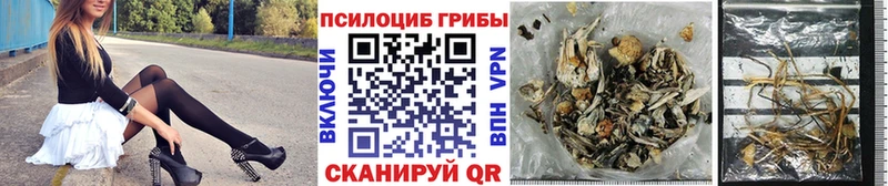 Галлюциногенные грибы Psilocybe  Мытищи 
