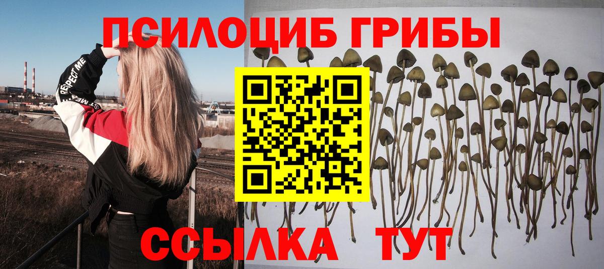 Псилоцибиновые грибы Magic Shrooms Мытищи